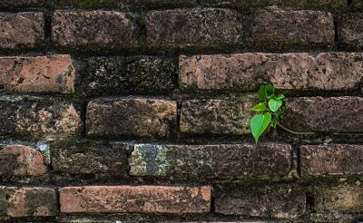 Corona Günlerinde Startup Olmak